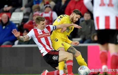 开云体育 -摩纳哥灰石材厂家江苏