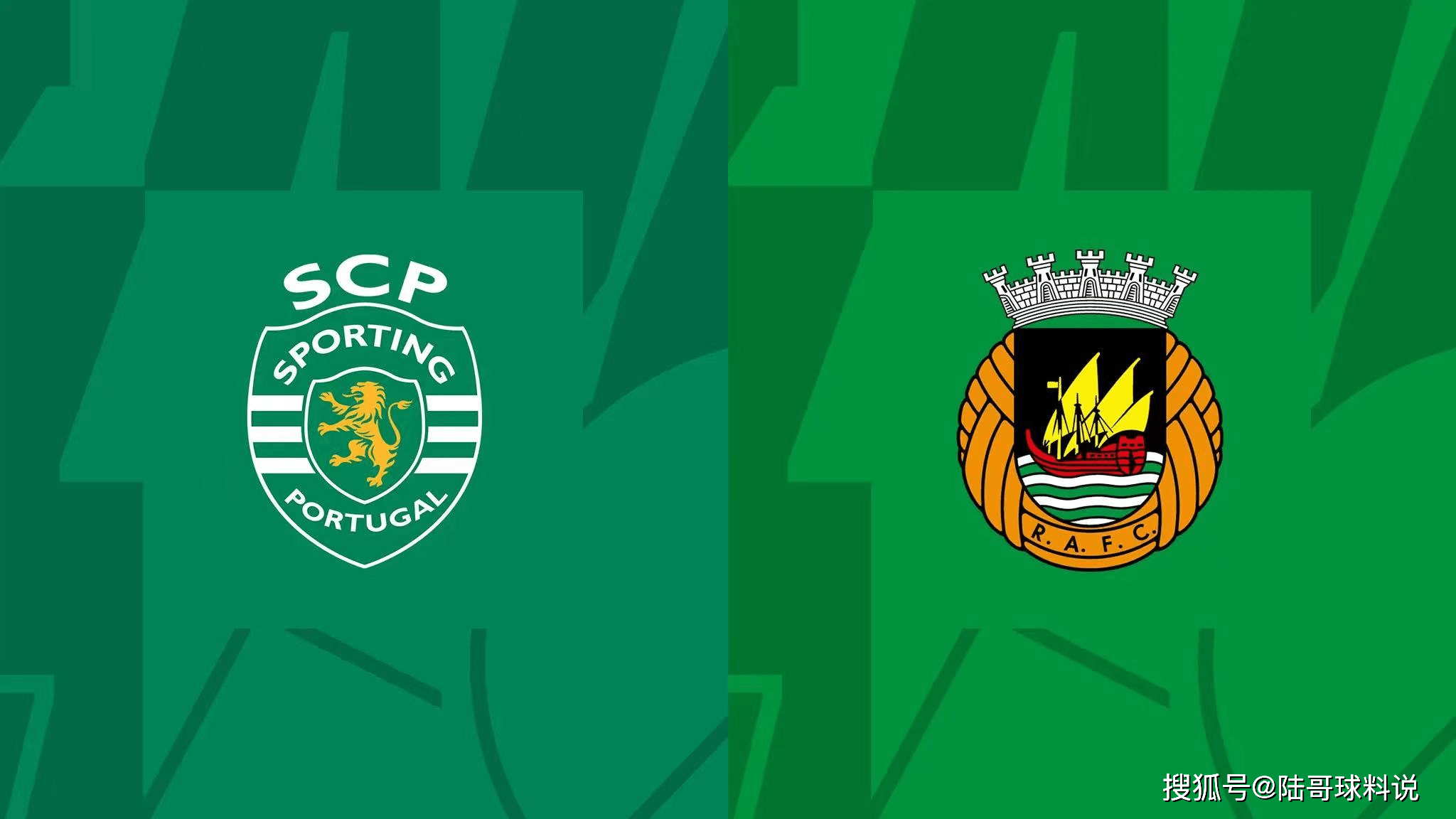 关于孟菲斯灰熊迎葡超关键赛；转会期刷新队史纪录；赛场秩序良好；团队化学反应显著的信息