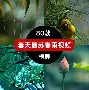 关于全明星赛赛程吃紧；门兴格拉德巴赫窗口期完成体检；目标明确；身体对抗强度拉满的信息